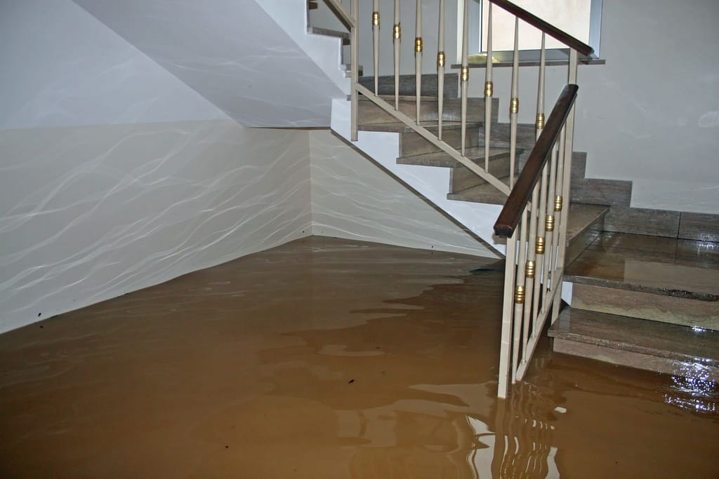flooded basement cleanup in new york