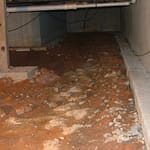 How Your Crawlspace Impacts Indoor Air Quality - First Call Restoration specializes in mold removal. We can remove mold from every part of your home, including your crawlspace. This article explains how and why your crawlspace could be contaminating your indoor air. If you think you have mold in your crawlspace, call (845) 442-6714!