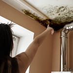 Why Do I Need To Hire A Mold Assessor? - First Call Restoration has helped 1000s of home and business owners remove mold. We are mold removal and remediation experts servicing the areas of Poughkeepsie, Hopewell Junction, and Newburgh, New York. One of the most common questions we receive: "Why do I need to hire a mold assessor before I hire First Call Restoration to remove my mold?" The simple answer, it's the law!