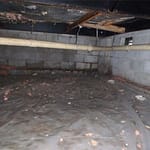 Why Does Mold Grow In Crawlspaces? Did you know that 40% of the air in your home seeps up through your crawlspace. If mold is growing this will negatively impact the air you breath. This purpose of this article is to explain why mold grows in your crawlspace and how it could be contaminating your indoor air. In addition, we explain what you can do to fix the problem. Learn more!