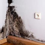 Is Mold The Cause of ME/CFS?