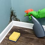 Cleaning Up Mold Is Not A DIY Job! - It is certainly tempting to grab an all-purpose cleaner and a roll of paper towels when you spot mold in your home or office. You must resist this temptation! Skip the DIY cleaning attempt and lean on the experts for a thorough and safe mold removal. Here’s why.