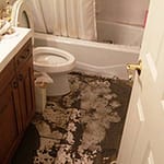Sewage Backup Prevention Tips!: As spring gets ever so closer and temperatures begin to rise, snow run off and rain increases the number of calls we receive about flooded basements and sewage backups. Sewage backups occur when sewage from sewer lines back up into your home or business. This article lists and explains the top 5 causes of sewer backups and provides you with tips to prevent them. There are 2 key reasons, sewage backup prevention is important...learn more!