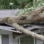 storm cleanup company