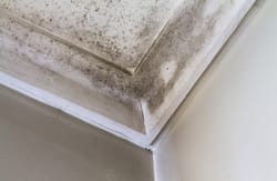 Mold Removal Poughquag NY