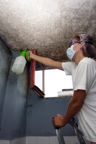 How To Select A Mold Removal Contractor?: Choosing a mold removal contractor can be a tough decision, particularly if there are many contractors in your area offering that service. How do you know the contractor you call is qualified and experienced? In this article, we explain how to select a mold removal contractor by revealing the top 10 clues that the mold removal contractor you called is inexperienced and not qualified. Clues #3, #6, and #9 are very important. Learn more!