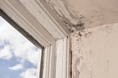 Mold Reduces Property Value!