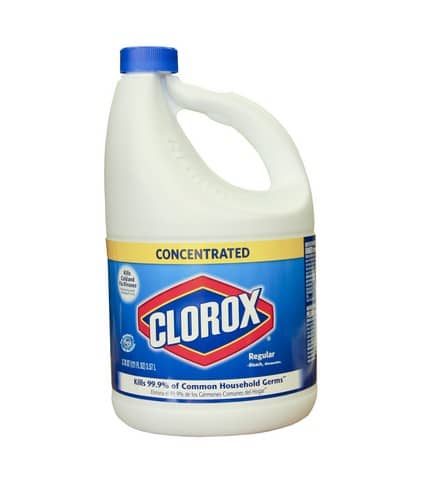 Top 3 Reasons Bleach SHOULD NOT Be Used For Mold Removal!