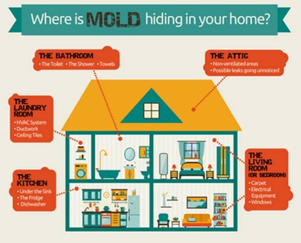 Places You Will Find Mold In Your Home!