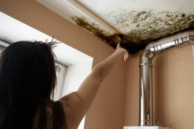 When does a property owner have to hire a Mold Assessor?