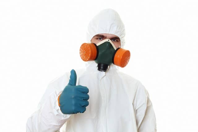 Always Hire A Professional To Remove Mold From Your Home or Business!
