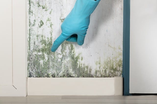 Top 9 Mold Prevention Tips After A Flood!