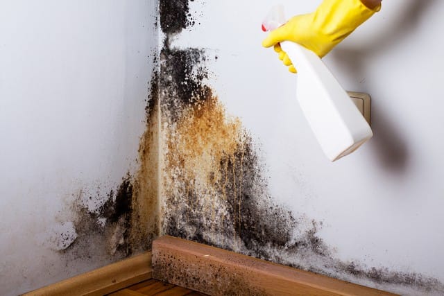 Avoid Using Bleach For Clean Up!