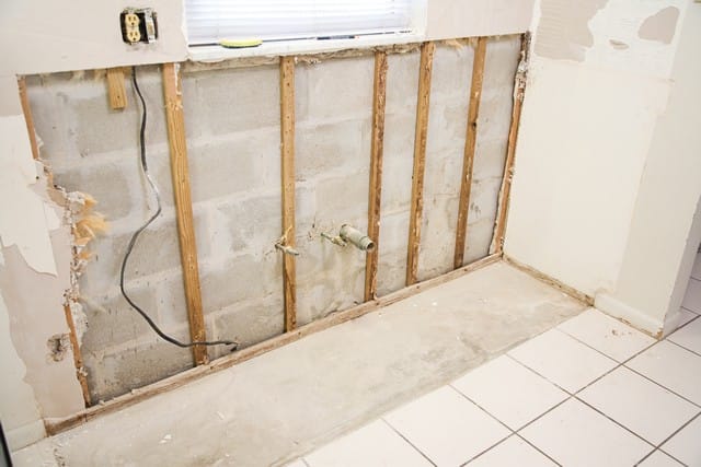 What Is The Mold Remediation Process?