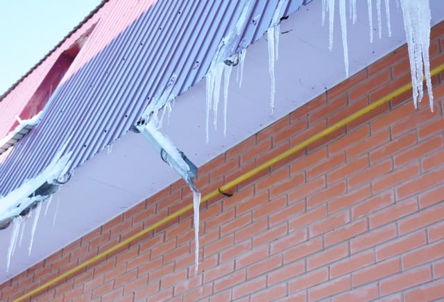 Ice Dams and Mold: The Facts!