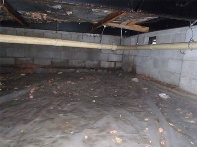 Got Crawl Space Questions